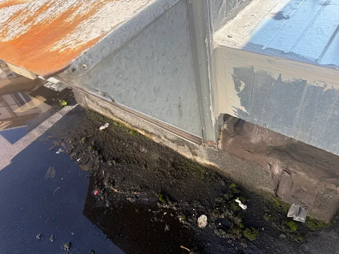 Dégât des eaux au pied d'un mur